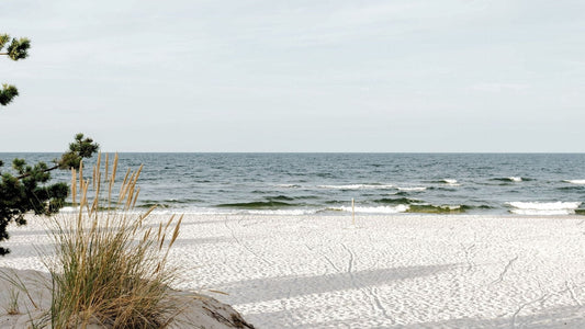 White beech sand for a blog post on what David Did when everything fell apart and how you can too